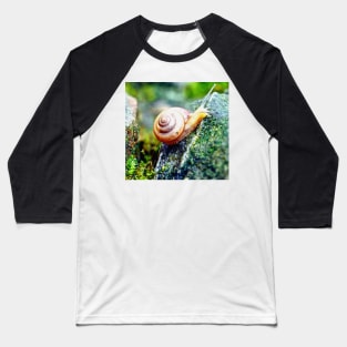 Garden Snail Baseball T-Shirt